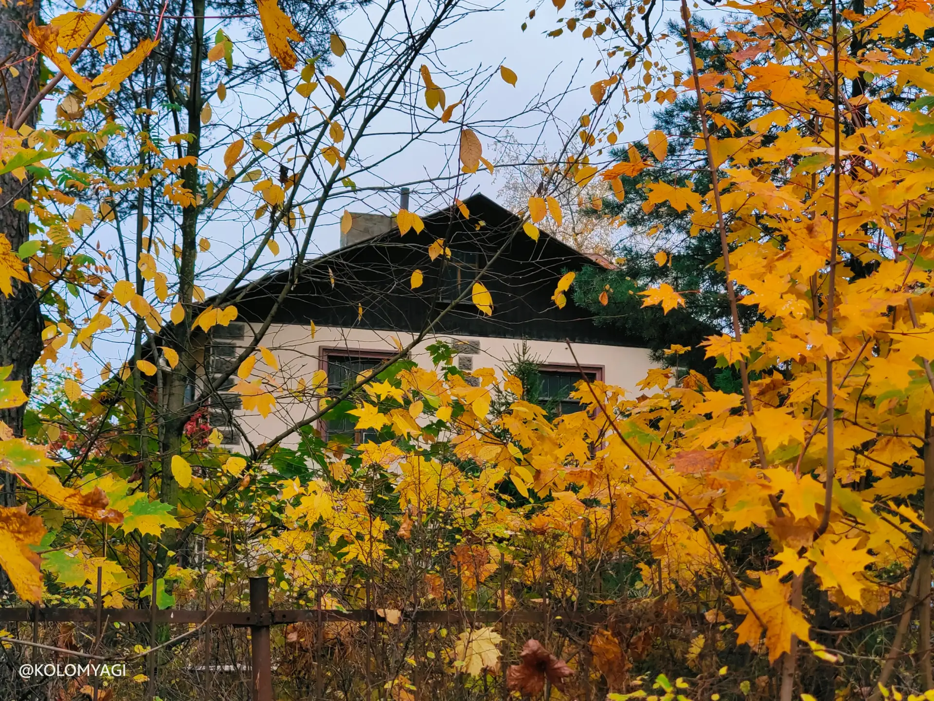 А Рябиновой улице очень идут жёлто-рыжие краски осени, не правда ли? 🍂 Красный кирпич ...