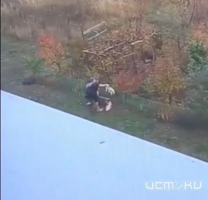 ↗️ В Зареченском заявили о жестоком обращении с собакой: жители обеспокоены поведением ...