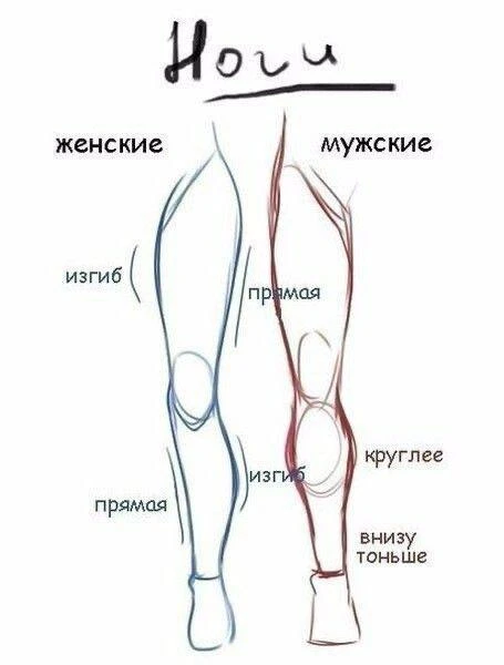 Все наши каналы
