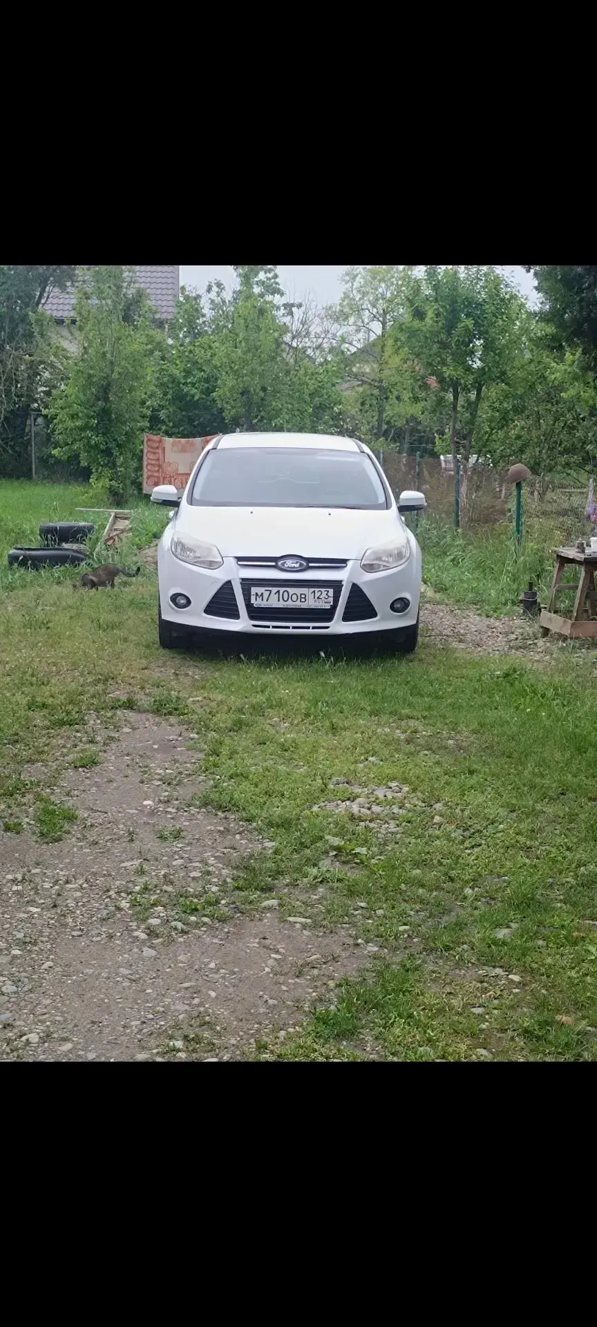 🚗Ford focus