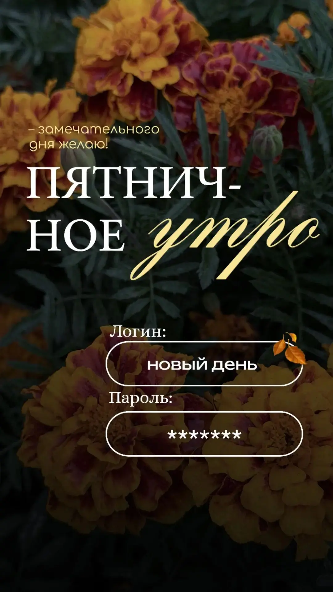 #доброе пятничное ☀️