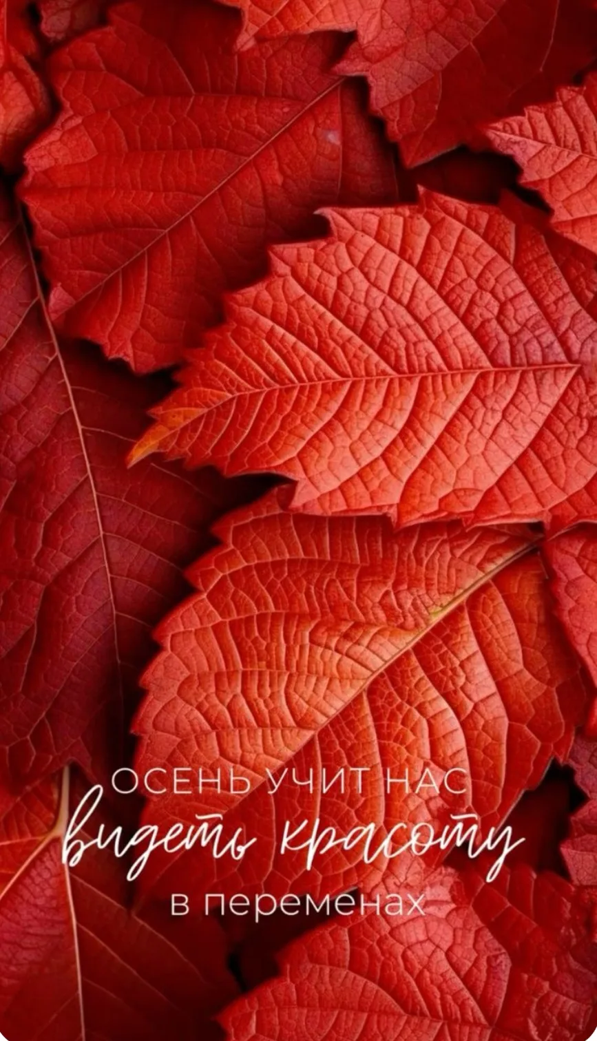 Подписаться 🌹