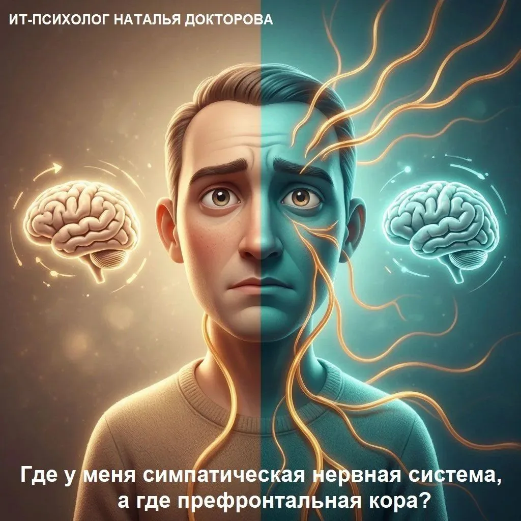 Почему тело реагирует быстрее головы