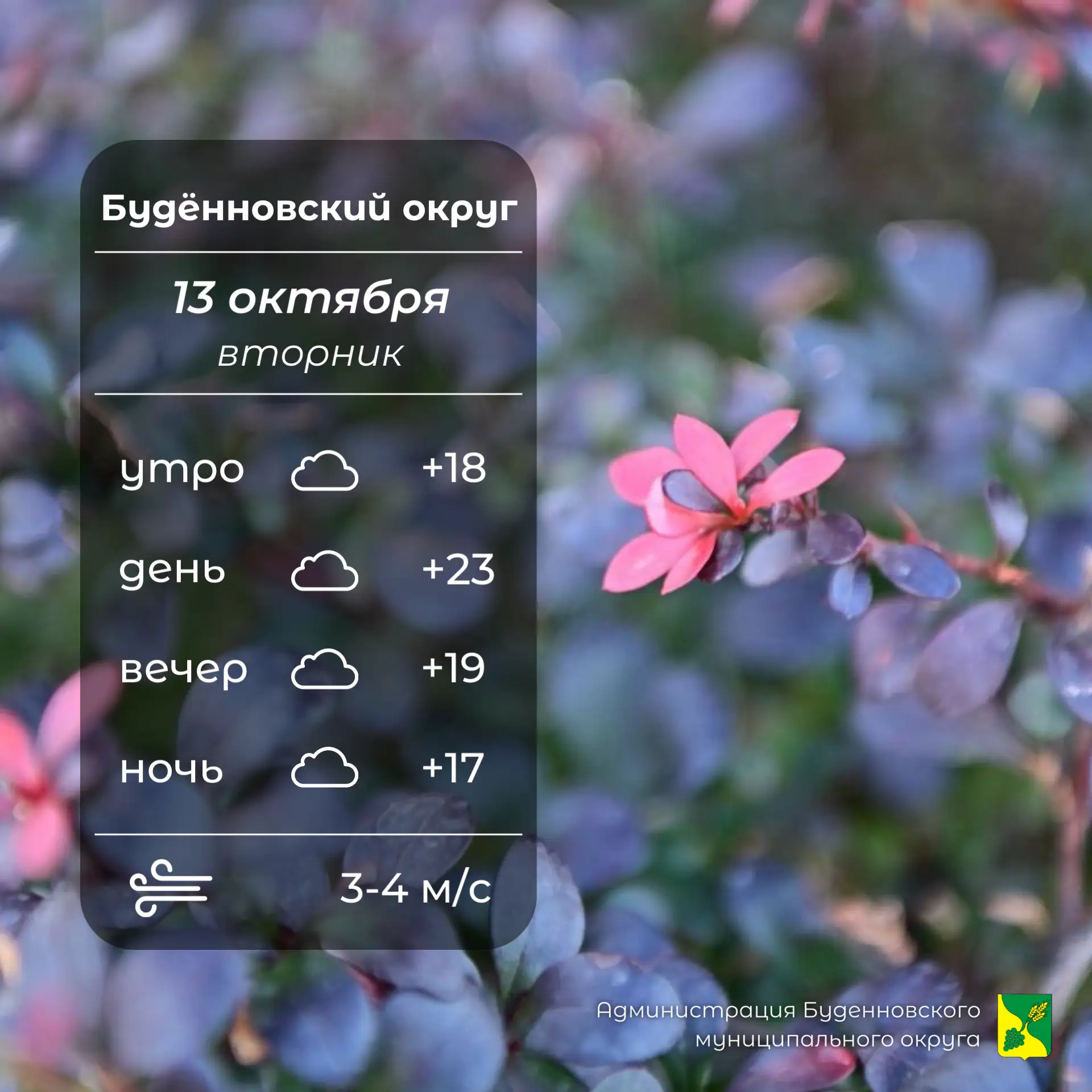 ☁️Сегодня в Буденновском округе пасмурно, без осадков. Температура воздуха +17…+23°. Ве...