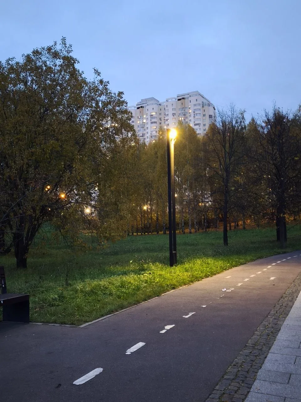 ✨🌳Хмурый, но все равно теплый парк