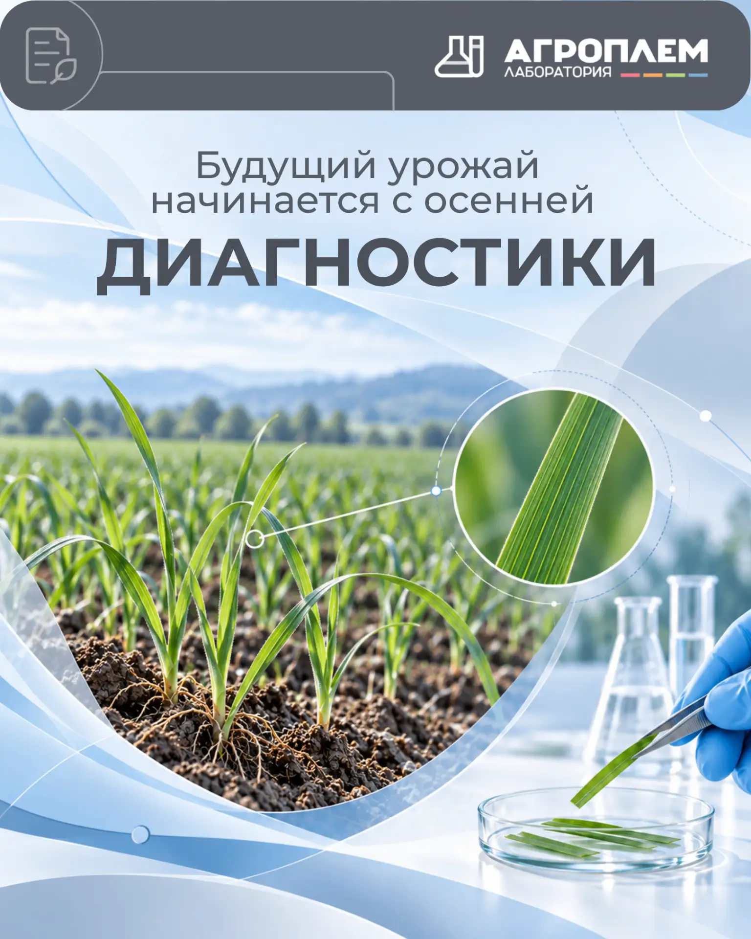 Озимые могут голодать, даже если поле выглядит здоровым 🌱