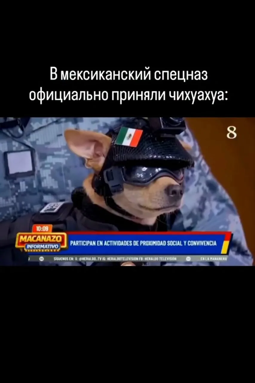 В рядах мексиканской национальной гвардии появился крайне необычный новобранец по кличк...