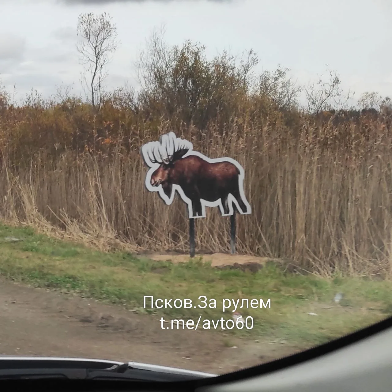 А ноги видимо пошли на холодец