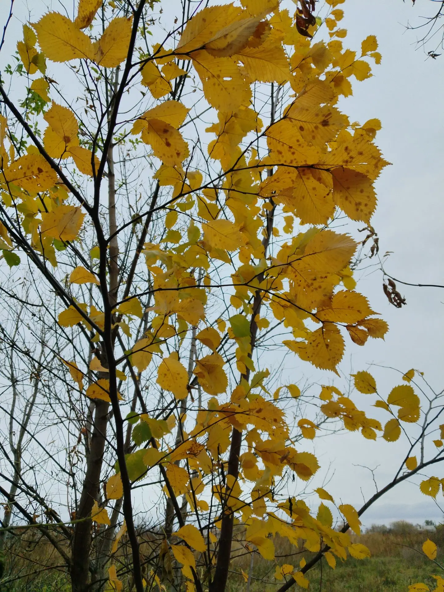 Немного фотосессии 📸 🙂