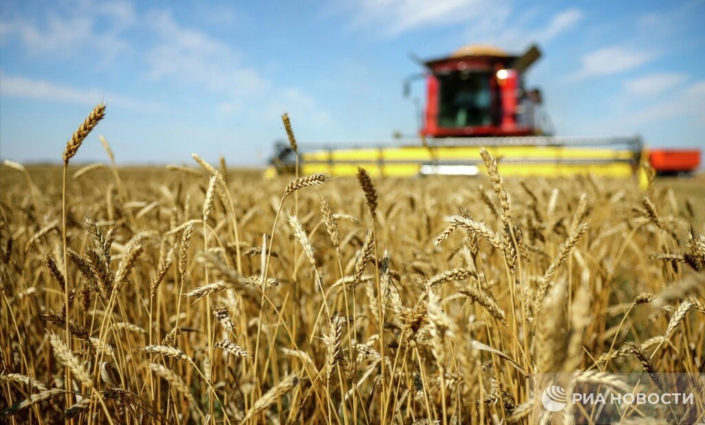 🌾 В ДНР собрали рекордный урожай — больше миллиона тонн зерна