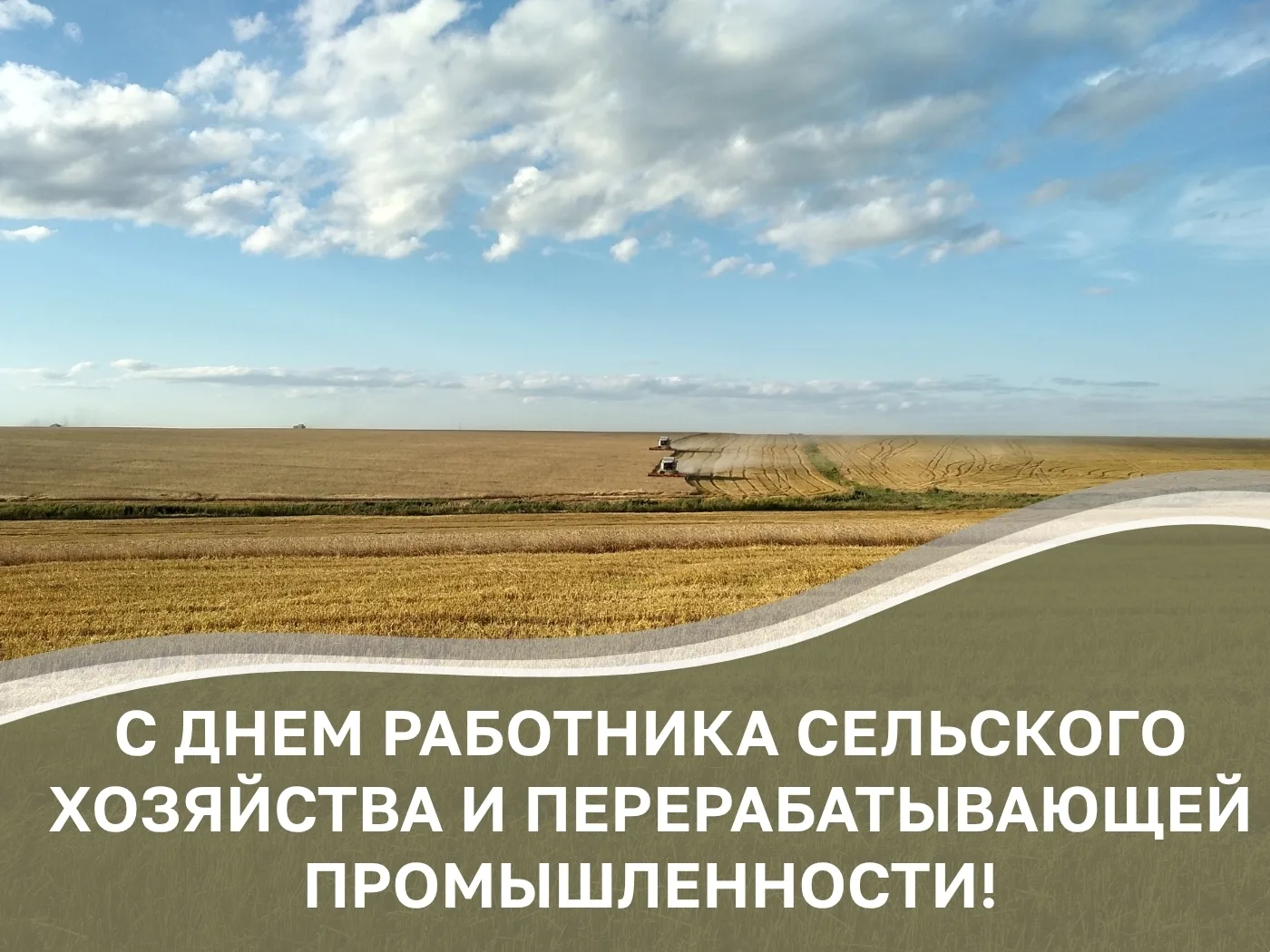 Уважаемые работники сельского хозяйства и перерабатывающей промышленности Амурской обла...