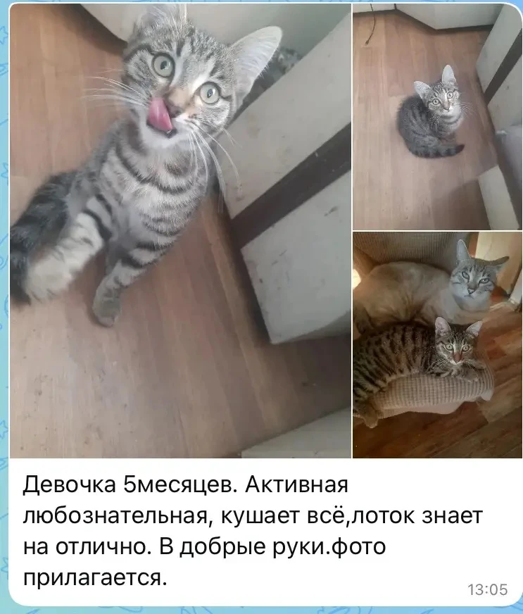 ⚠️Подписывайтесь на Родное Черемхово в Мах ✅: