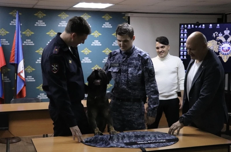 Это кто такой довольный мальчик? 🦮