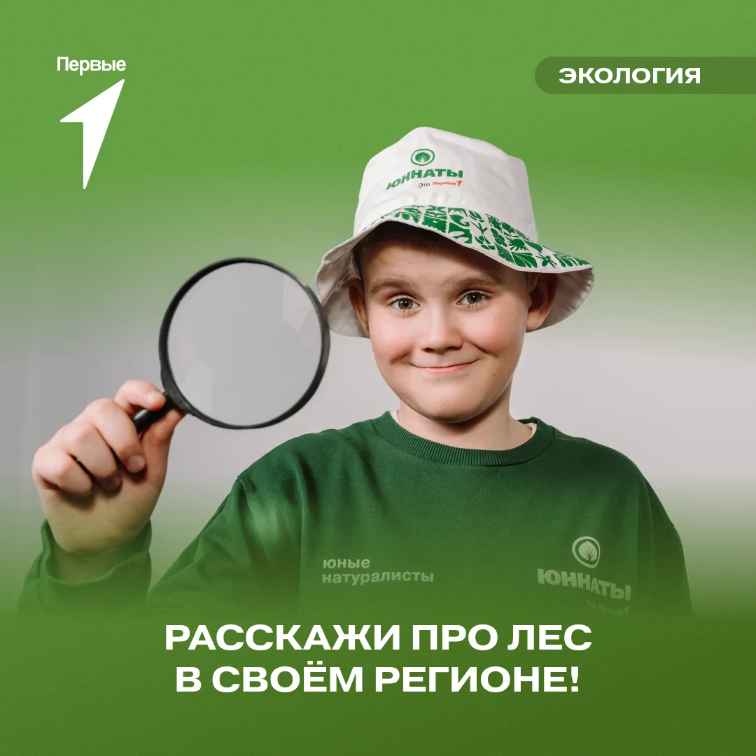 🌲 Добавим твой лес на карту юннатов?