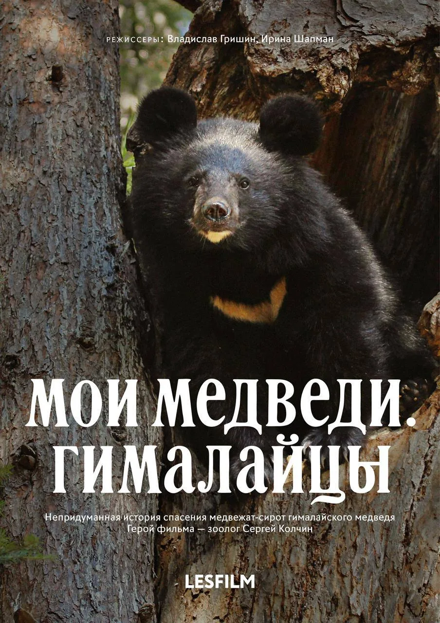 🎬 В Сочи пройдет бесплатный фестиваль экологического документального кино «ЭкоЧашка»