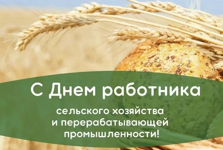 Уважаемые работники и ветераны агропромышленного комплекса Баксанского муниципального р...