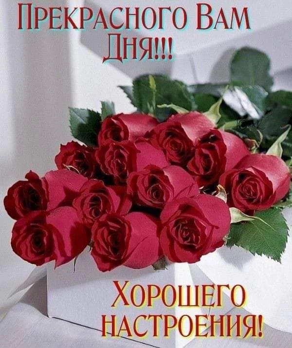 Открытки из WA — Подписывайся