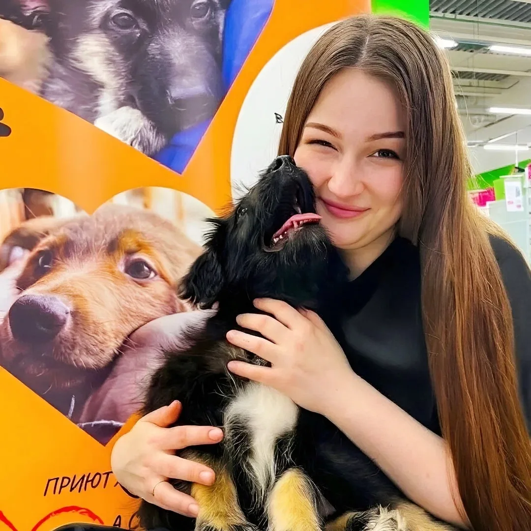 Итоги добрых выходных 🐾