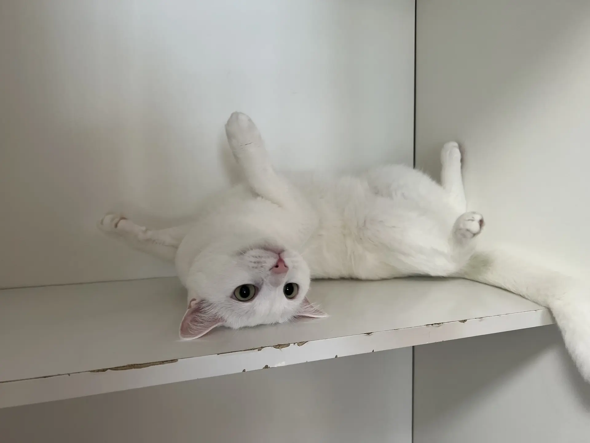 Тут ваще по кайфу всё 🙀