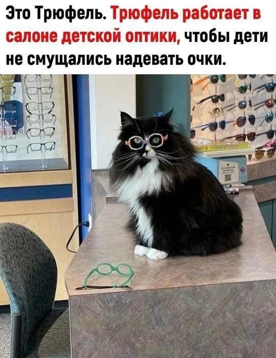 ❤️❤️❤️❤️❤️❤️❤️