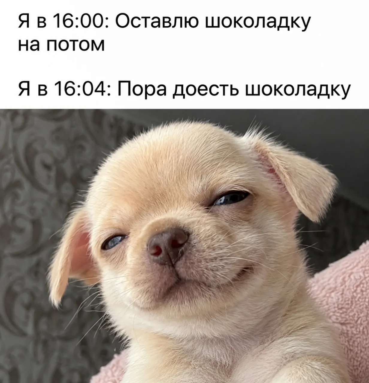 Пора доесть шоколадку, девчонки 😀🍫