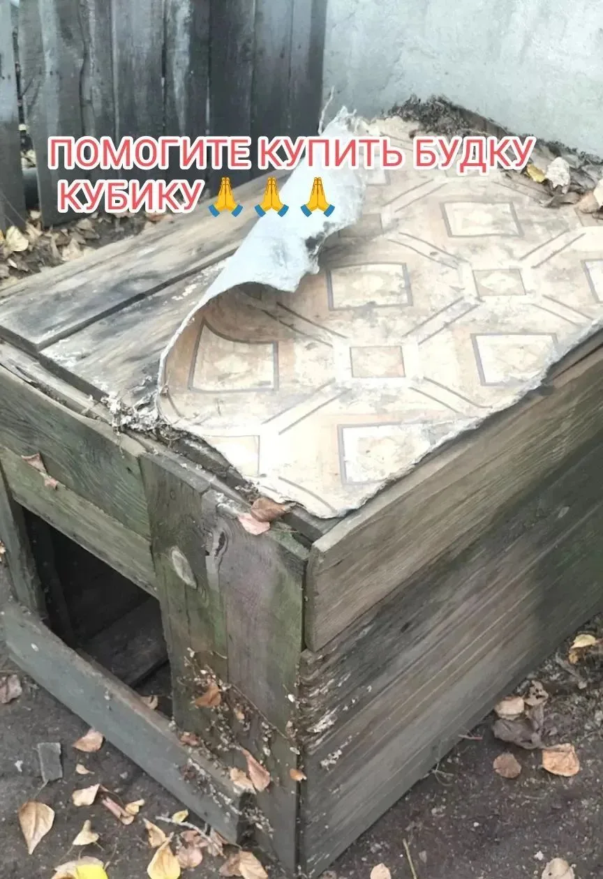 Друзья! Скоро зима‼️А у нашей подопечной Кубика сгнила и разваливается будка🤦‍♀️.