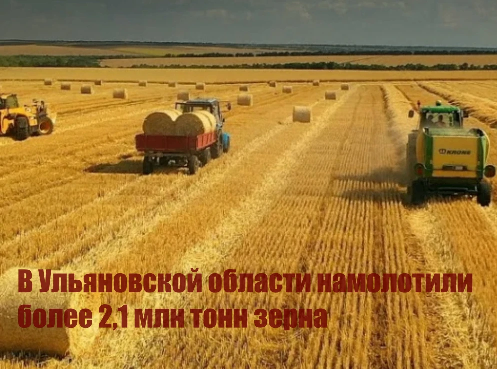 В Ульяновской области намолотили более 2,1 млн тонн зерна