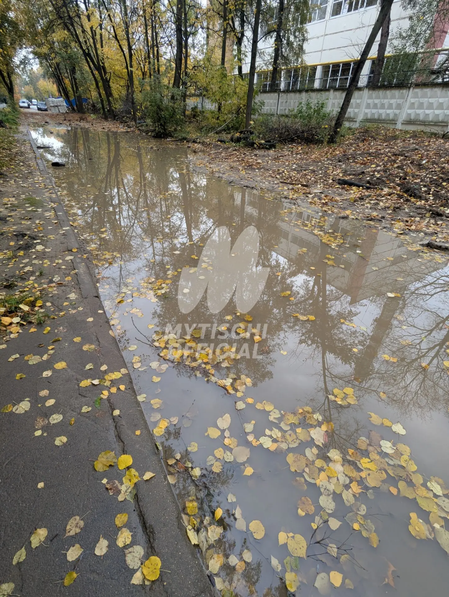 Состояние ул. 1-й Крестьянской в Перловке прямо сейчас 🤯