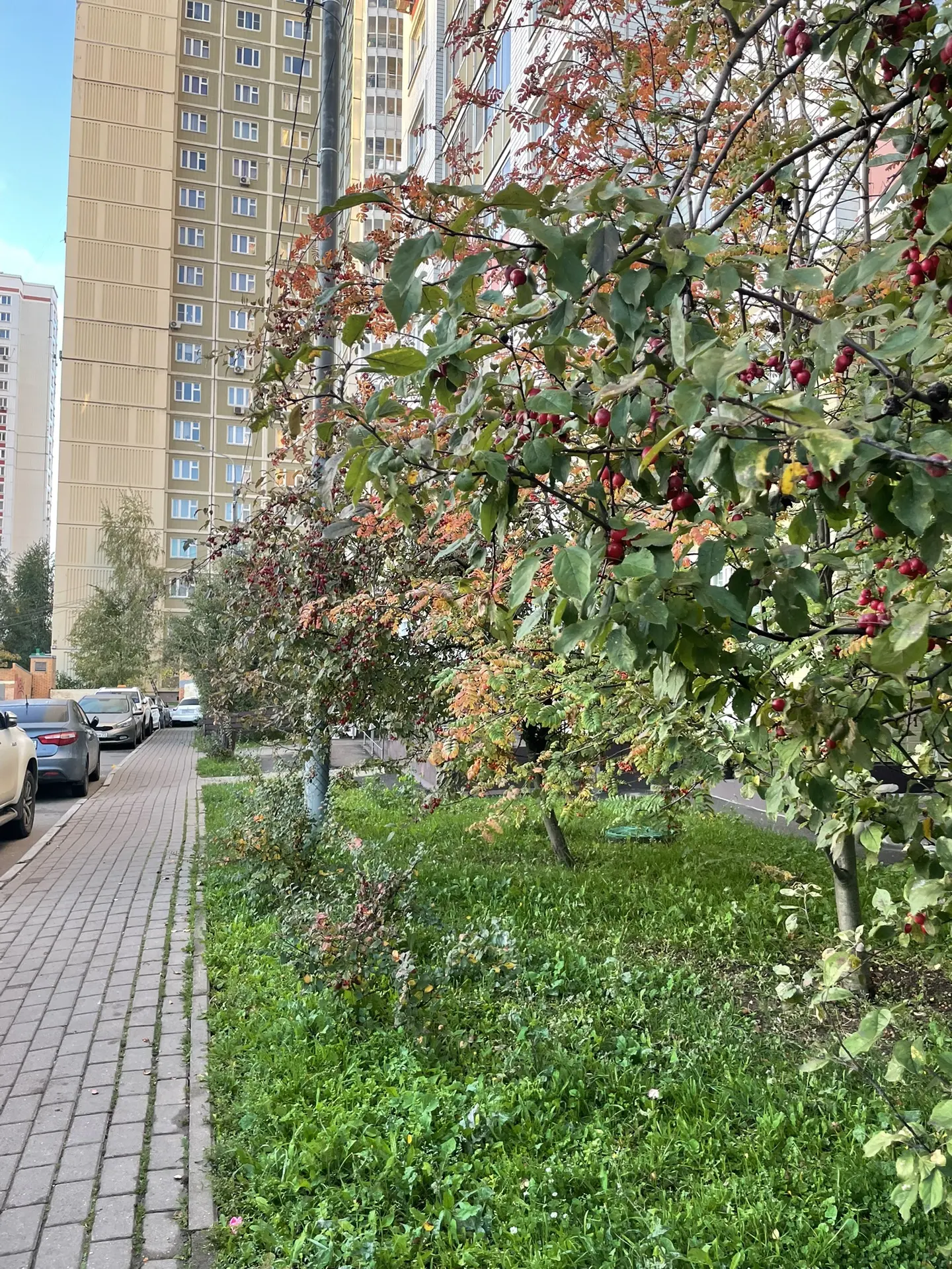 Всем доброе-доброе утро, дорогие друзья! ☀️❤️