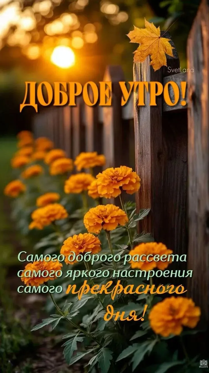 Доброе утро 🥰