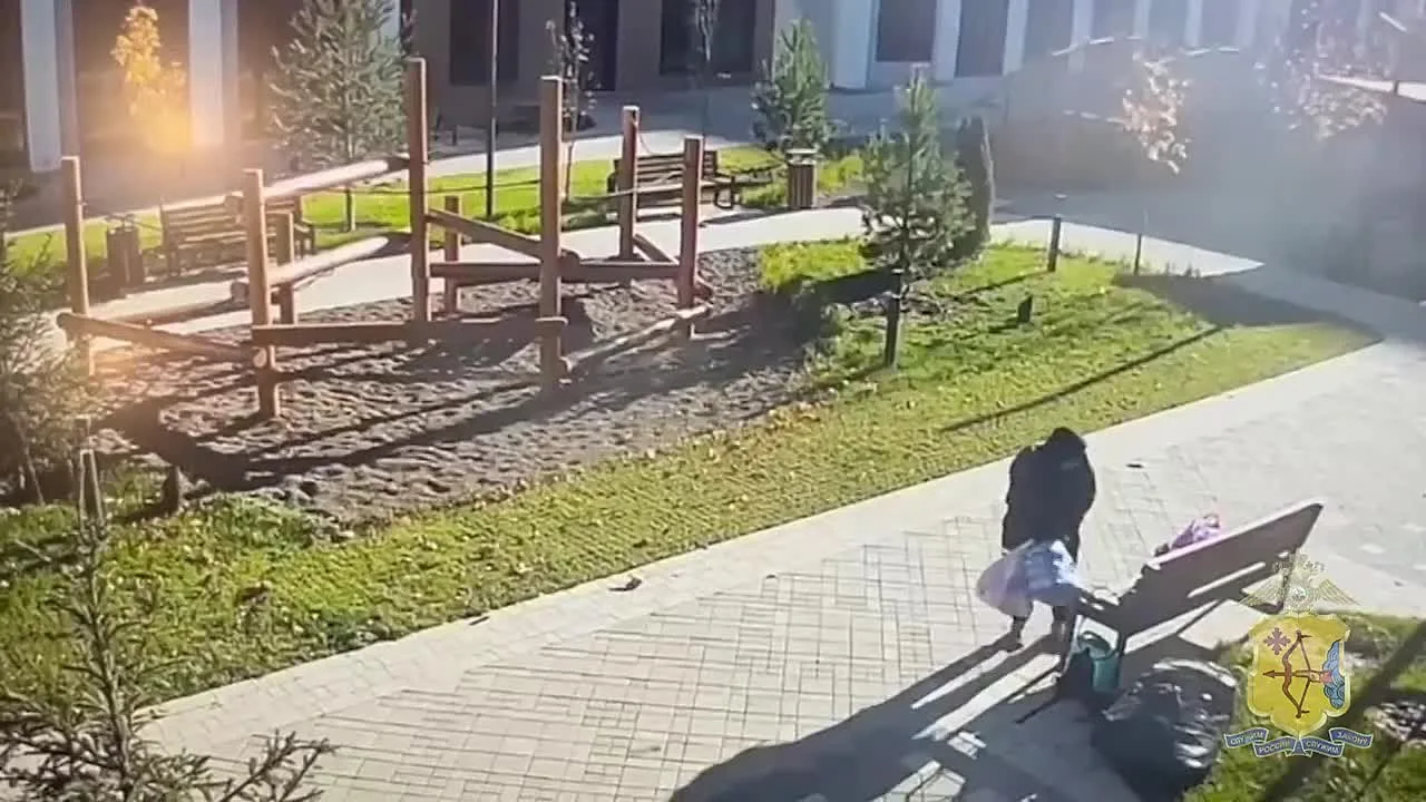 В Кирове две женщины 1989 и 2006 годов рождения лишились инструментов для ландшафтного ...