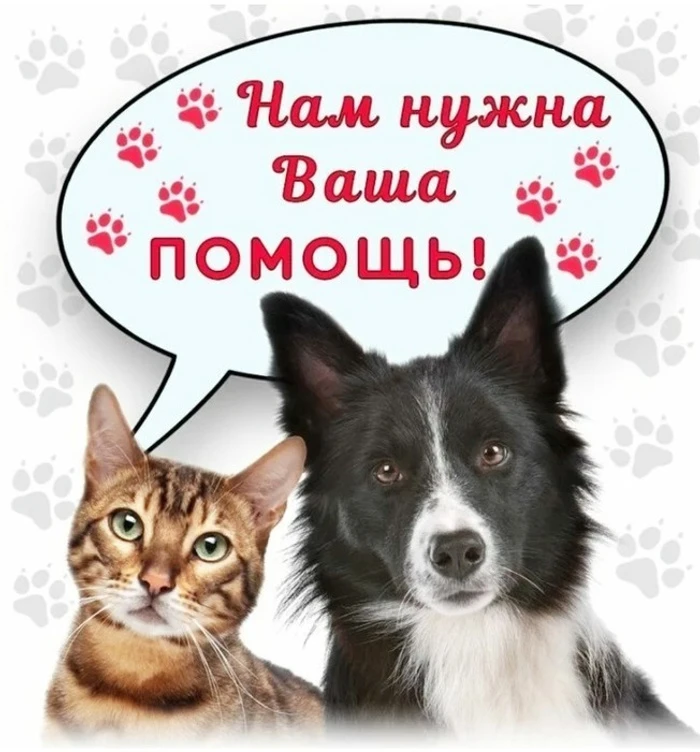 Уважаемые участники! Если у вас есть слишком много овощей с вашего огорода и вам некуда...