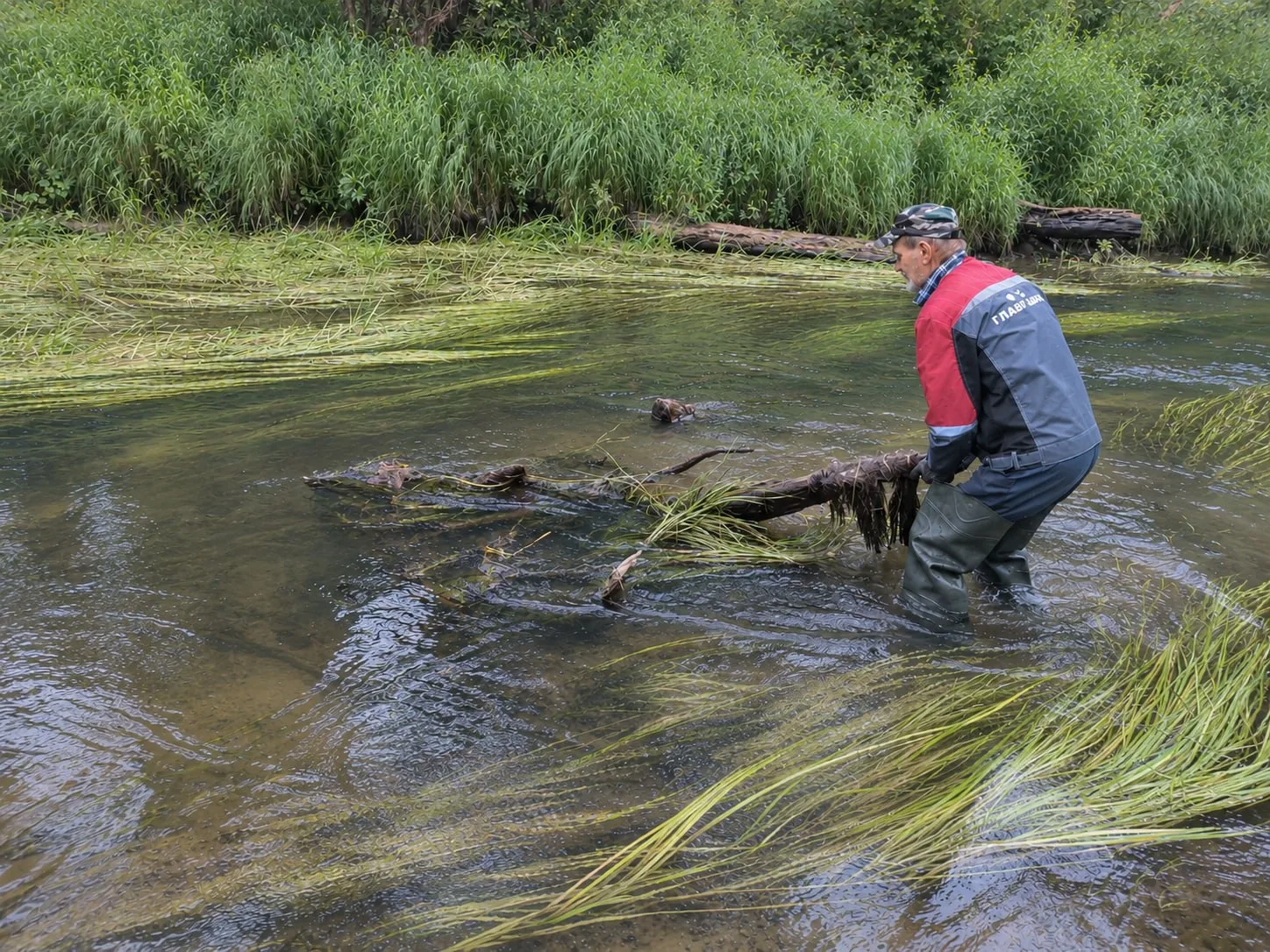 Более 2 млн м² водоёмов очистили рыбоводы для свободного хода рыбы
