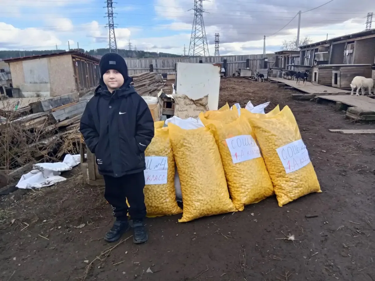 🎉 Добрые дела — это про нас! 🎉
