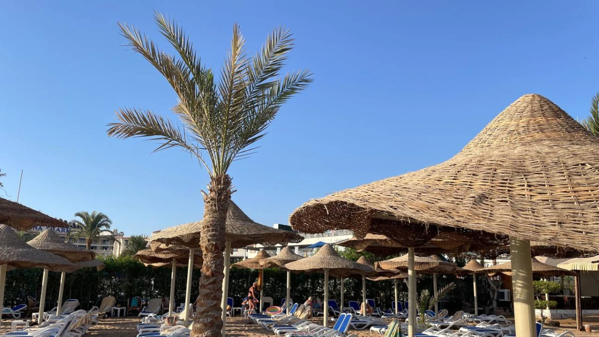 🏖 Самарцам рассказали, как можно увеличить отпуск в 2027 году