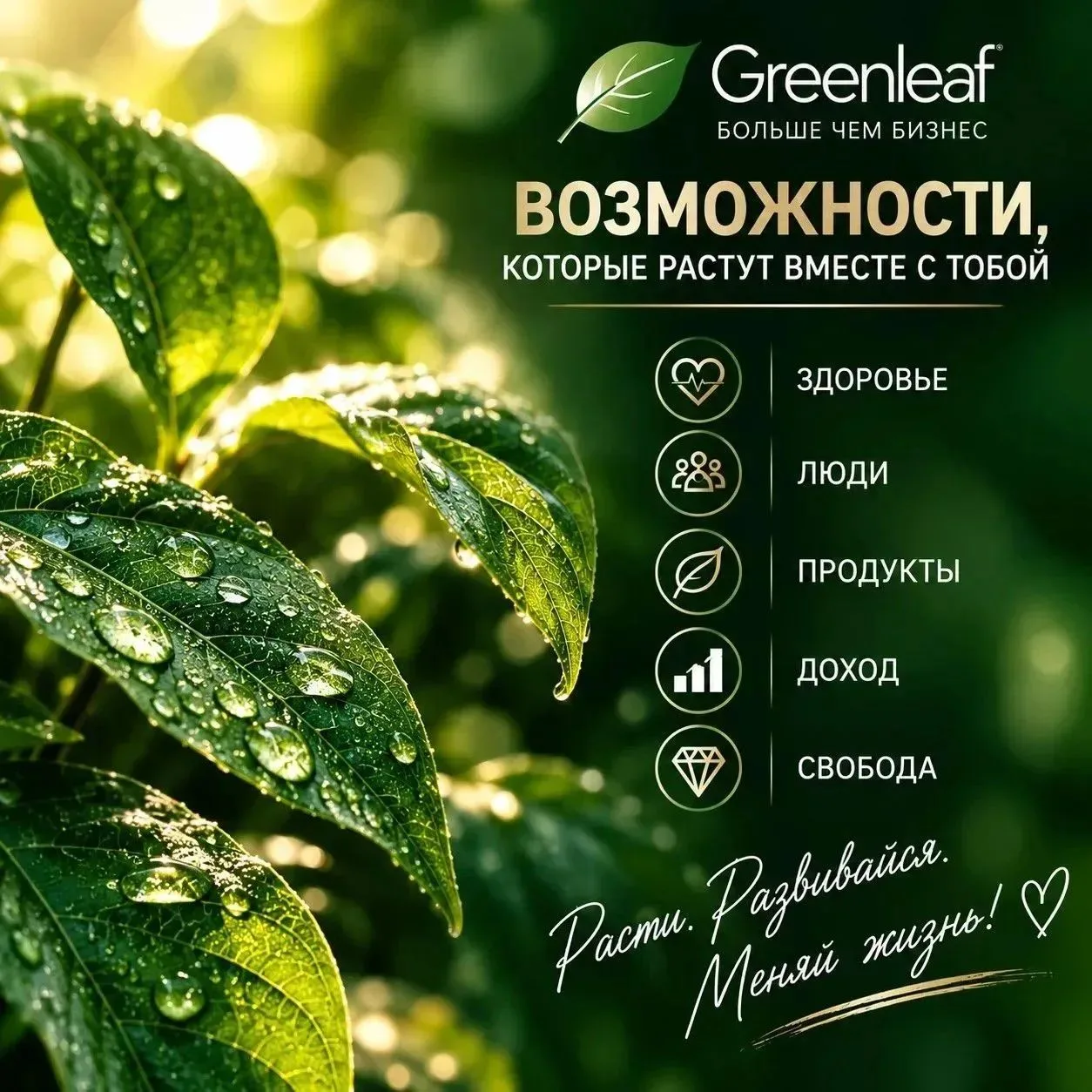 ✨ Что вы получаете при присоединении в корпорацию #Гринлиф?💚