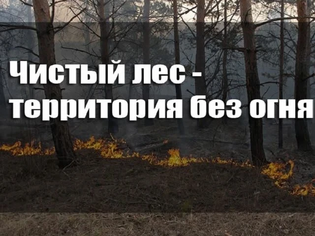 С 12 по 18 октября в Кузбассе проходит ежегодная профилактическая акция "Чистый лес- те...