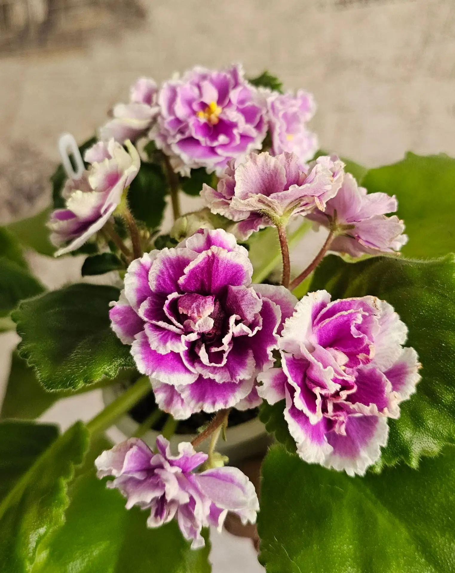 Фото