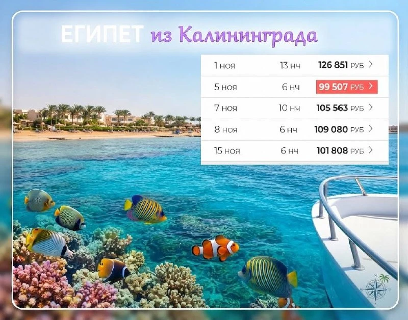 💜 ЕГИПЕТ ИЗ КАЛИНИНГРАДА: ЛЕТИМ ЗА СОЛНЦЕМ И ТЕПЛОМ!
