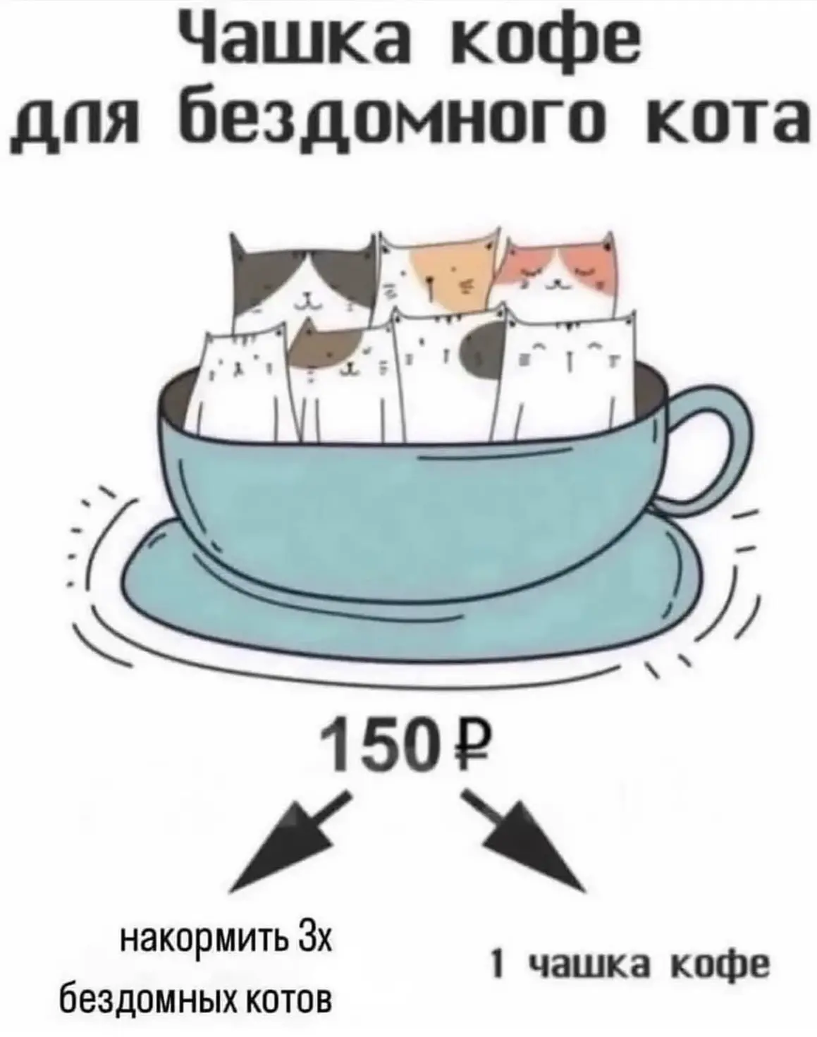 Воскресная чашечка кофе для пушистого ангела 🐈🐈🐈🐈🐈