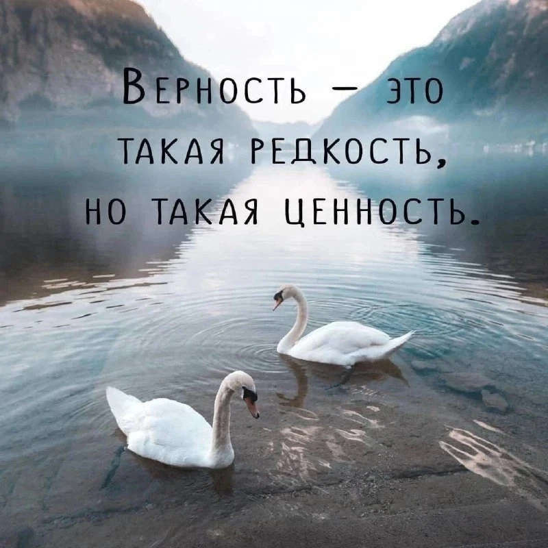 Верность - она в голове.