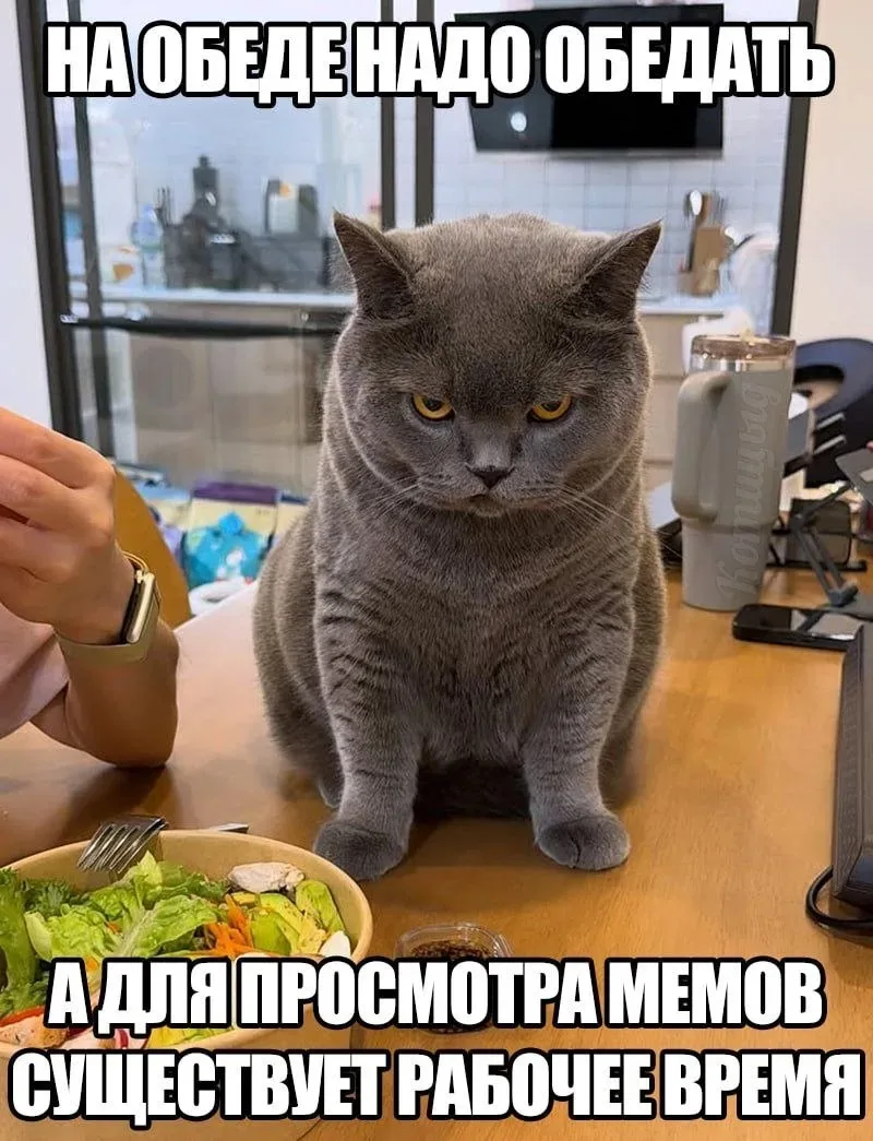 Понравился контент? Подпишись на наш второй канал MAXимально вкусно!