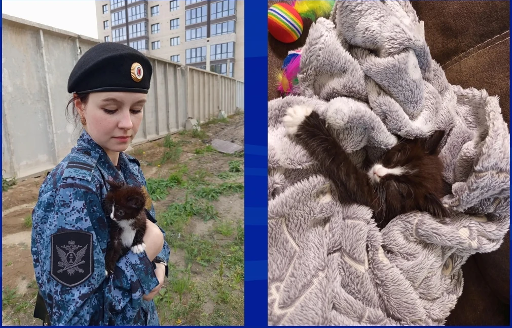 Трогательная история из Топчихинского района: судебный пристав спасла котёнка и помогла...