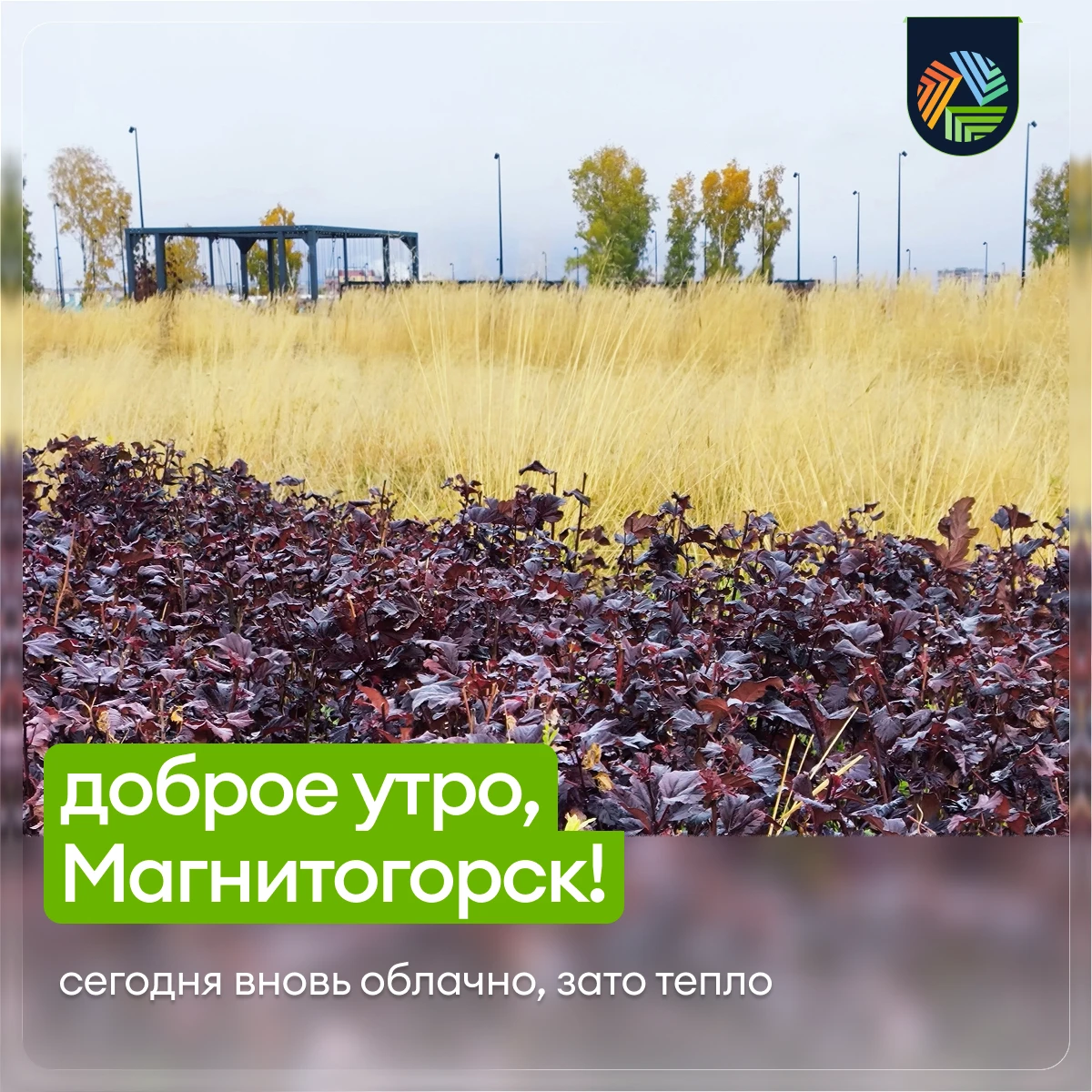 🌡В эту пятницу ожидается температура до +12°. Ветер западный, 2-4 м/с. Давление: 725 м...