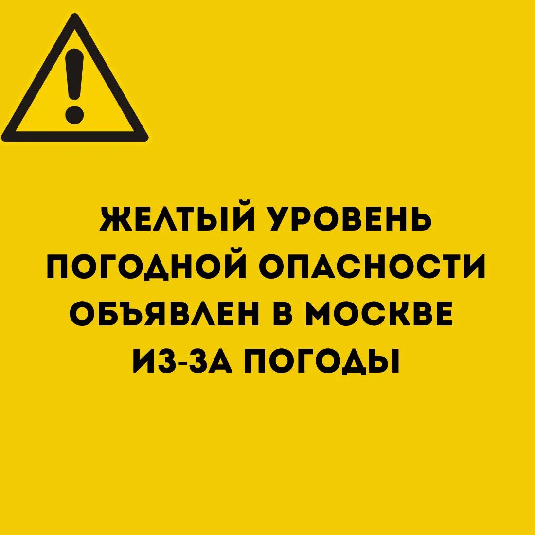 Желтый уровень погодной опасности объявили в Москве сегодня из-за сильного ветра и дождей.