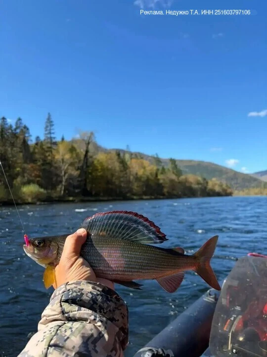 ❗Создали канал 🐟🏔