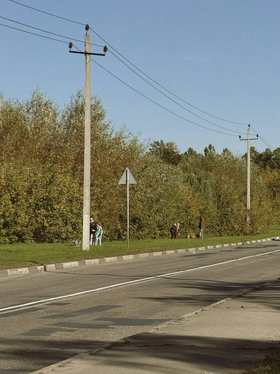 Вчера гуляли с подопечными приюта «Лучик надежды» в рамках благотворительного фестиваля...