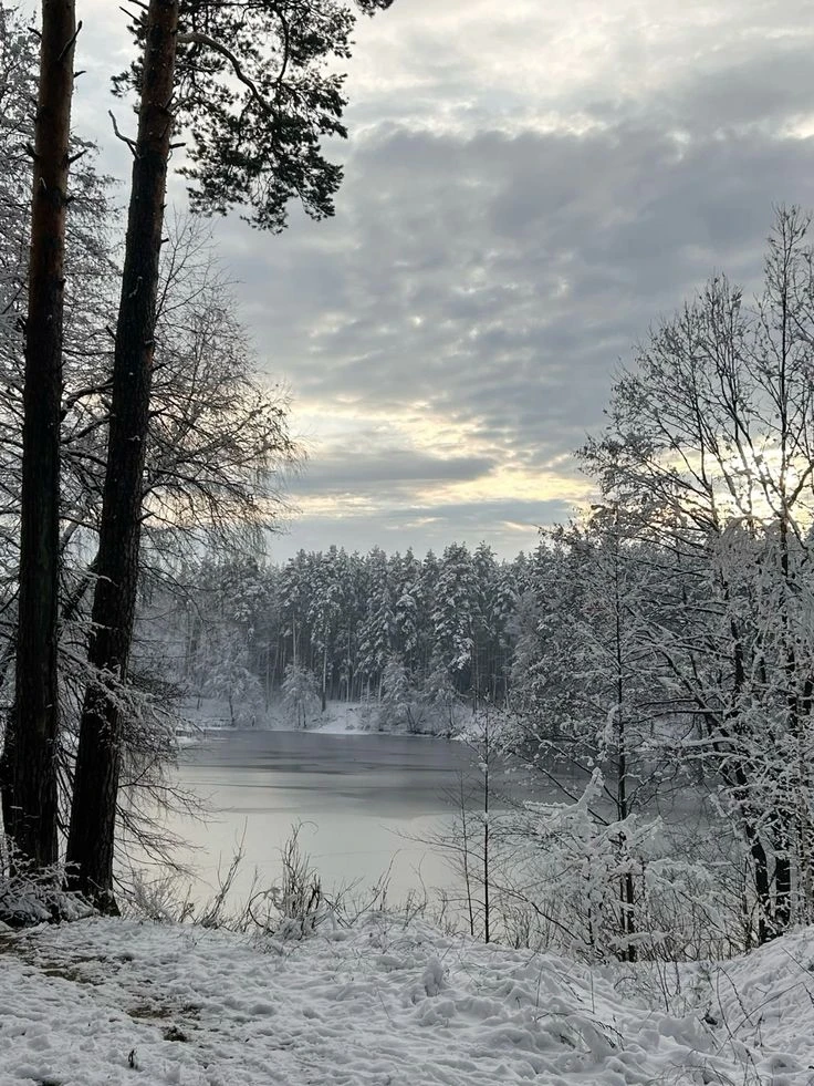 ☃️ ❄️ В Петербурге скоро выпадет первый снег: синоптики назвали дату — прогноз погоды н...