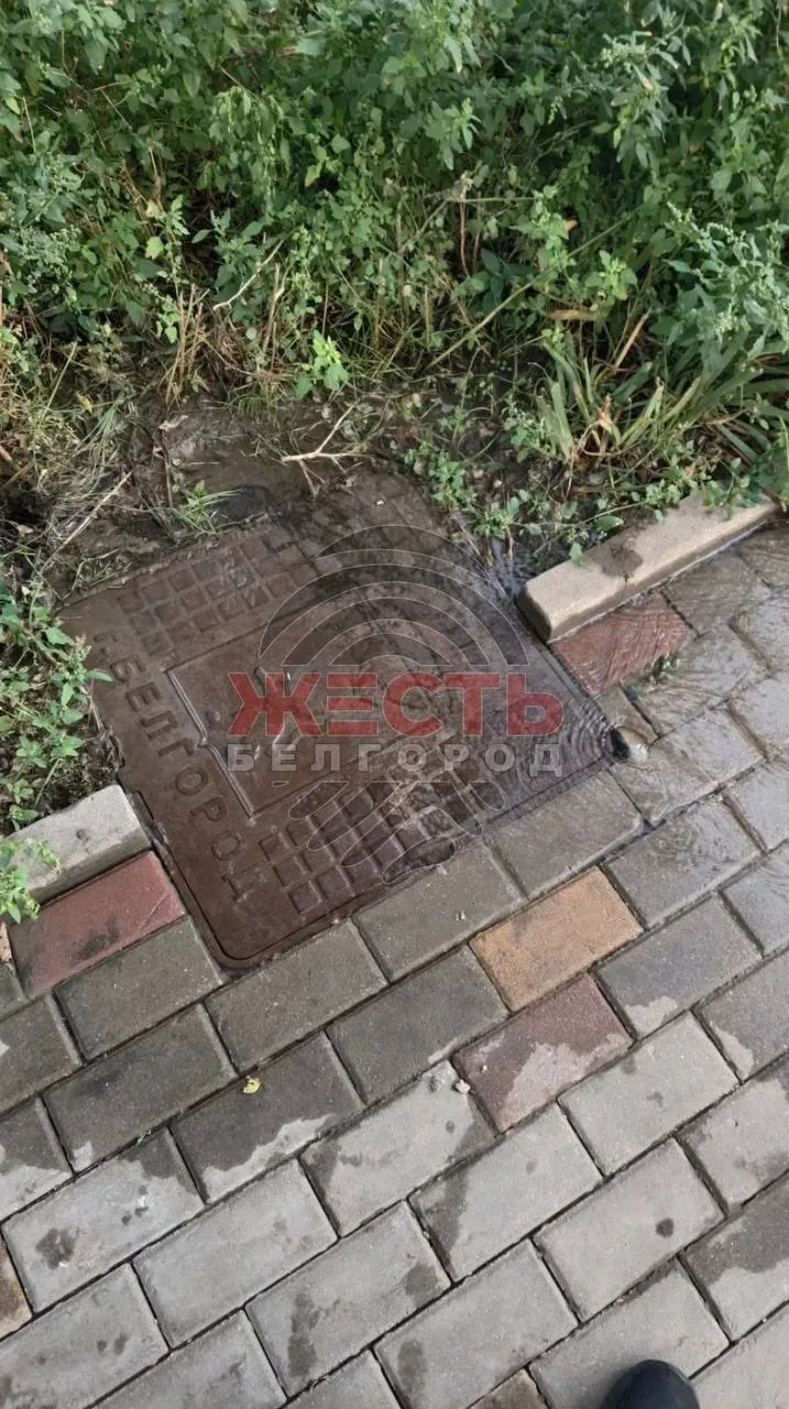 На улице Губкина, 42В уже три недели не могут устранить утечку воды