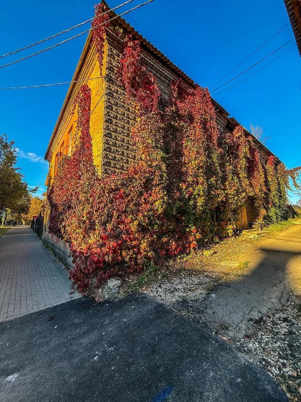 В Гатчине есть уютное место для атмосферных фотографий: небольшой домик, почти полность...
